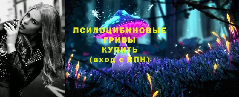 Псилоцибиновые грибы MAGIC MUSHROOMS  Костерёво 